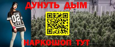 крисы Ирбит