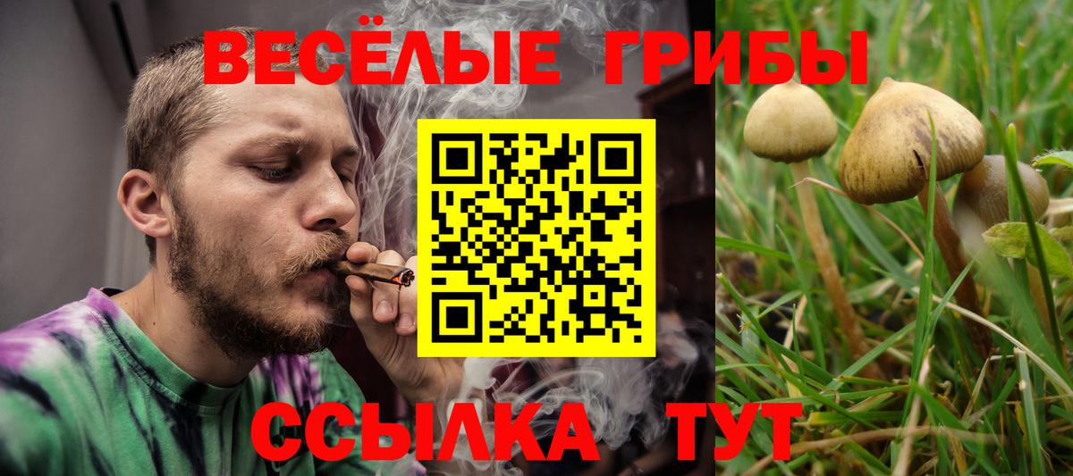 Галлюциногенные грибы мухоморы  Вход с VPN  продажа наркотиков  Кохма  Псилоцибиновые грибы прущие грибы 