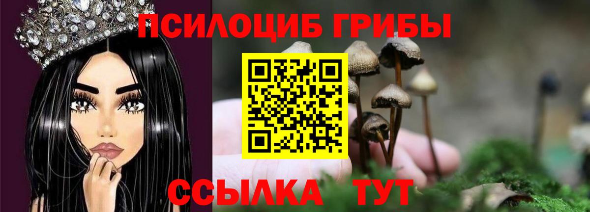 Псилоцибиновые грибы MAGIC MUSHROOMS Кохма